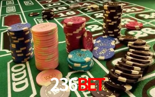Comparação APP mobile vs versão web da 236bet