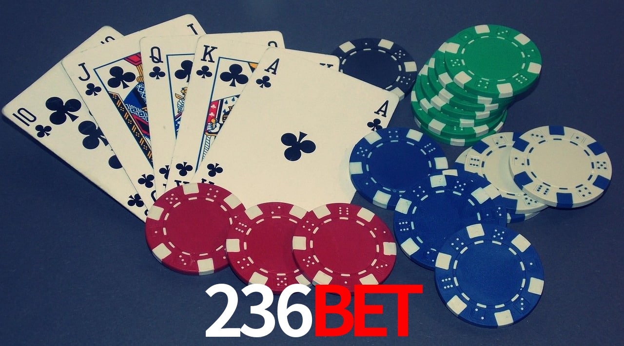 Player Reviews 236bet